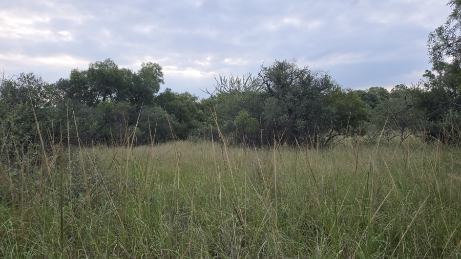 8 Bedroom Property for Sale in Bela Bela Limpopo