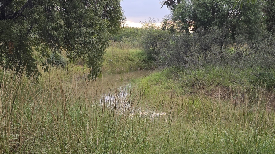 8 Bedroom Property for Sale in Bela Bela Limpopo