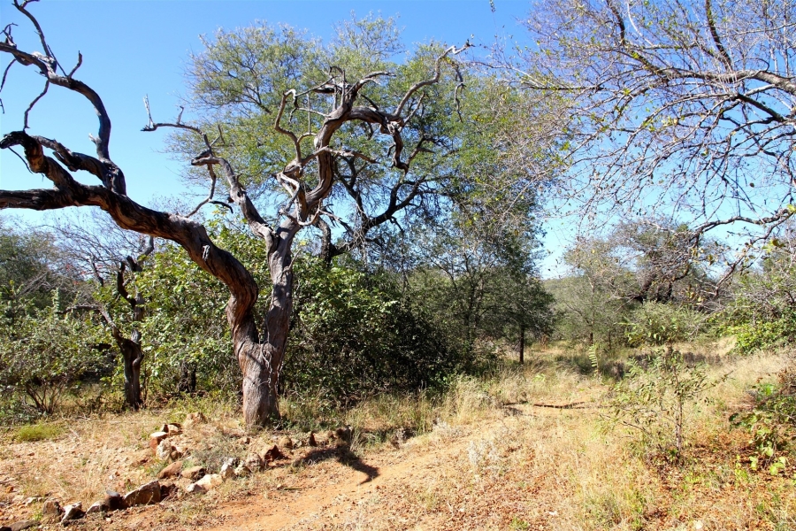 3 Bedroom Property for Sale in Ndlovumzi Limpopo