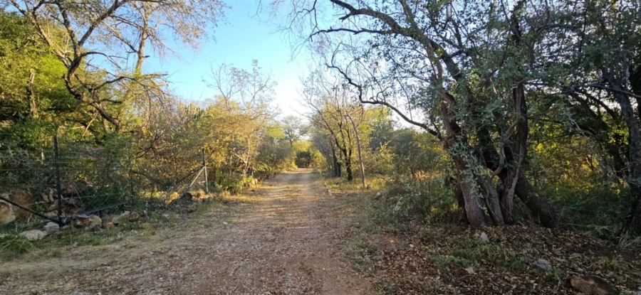 3 Bedroom Property for Sale in Ndlovumzi Limpopo