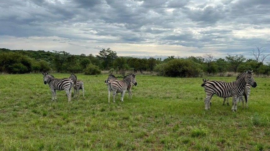 0 Bedroom Property for Sale in Verloren Estate Limpopo
