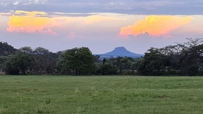 0 Bedroom Property for Sale in Verloren Estate Limpopo