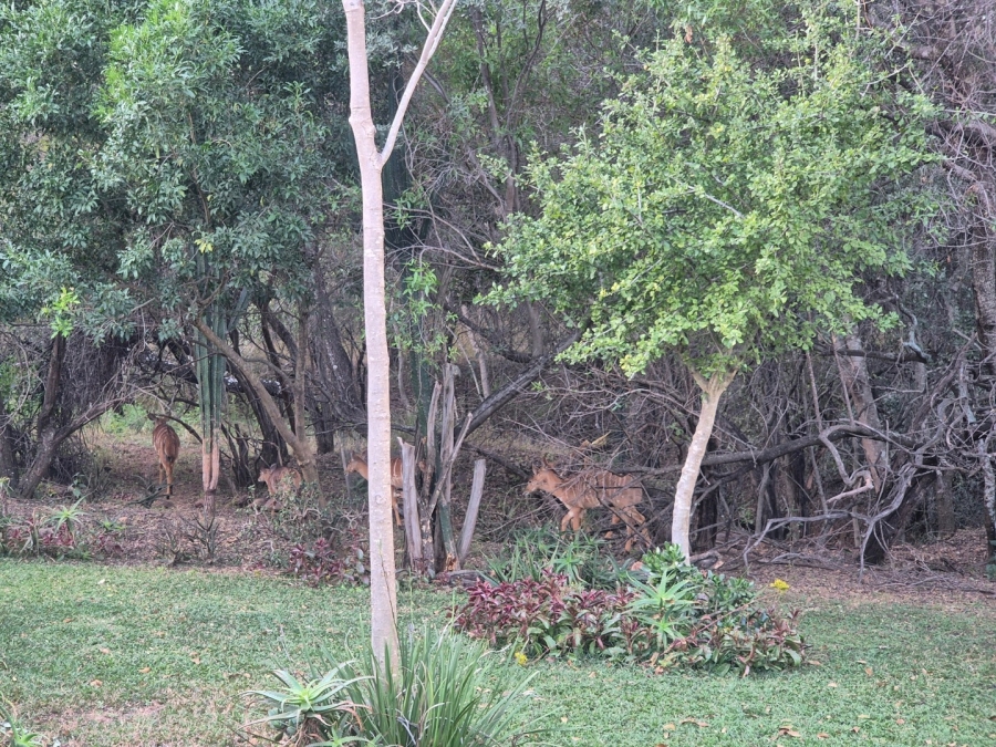 2 Bedroom Property for Sale in Mookgopong Limpopo