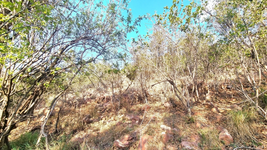3 Bedroom Property for Sale in Modimolle Limpopo