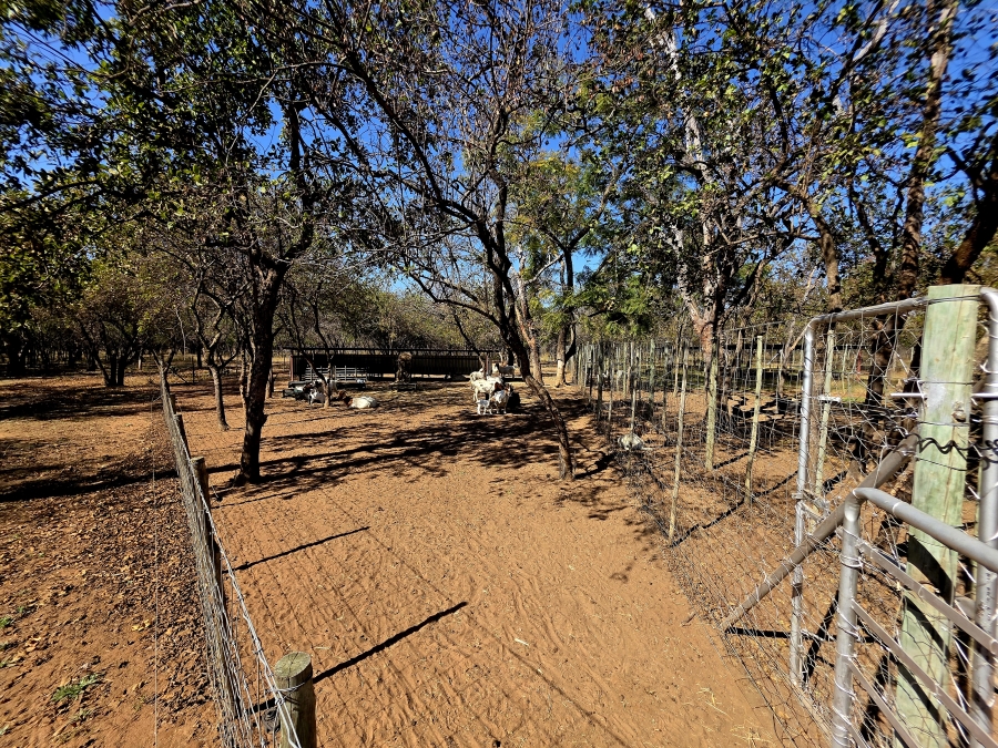 2 Bedroom Property for Sale in Mookgopong Limpopo