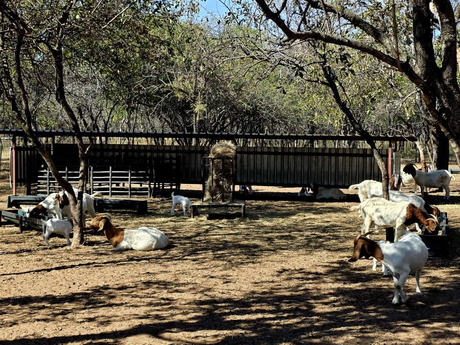 2 Bedroom Property for Sale in Mookgopong Limpopo