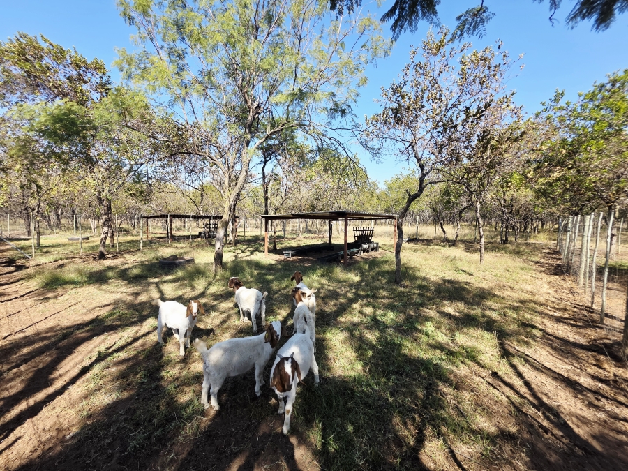 2 Bedroom Property for Sale in Mookgopong Limpopo