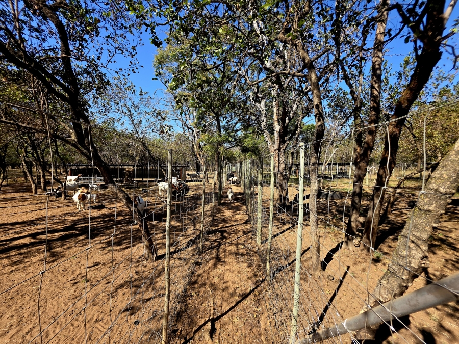2 Bedroom Property for Sale in Mookgopong Limpopo