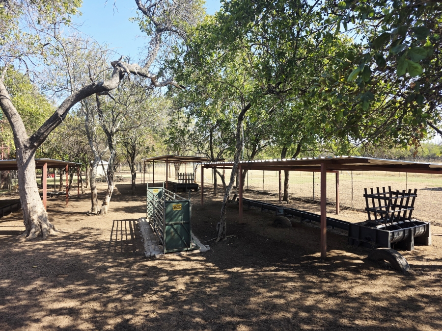 2 Bedroom Property for Sale in Mookgopong Limpopo