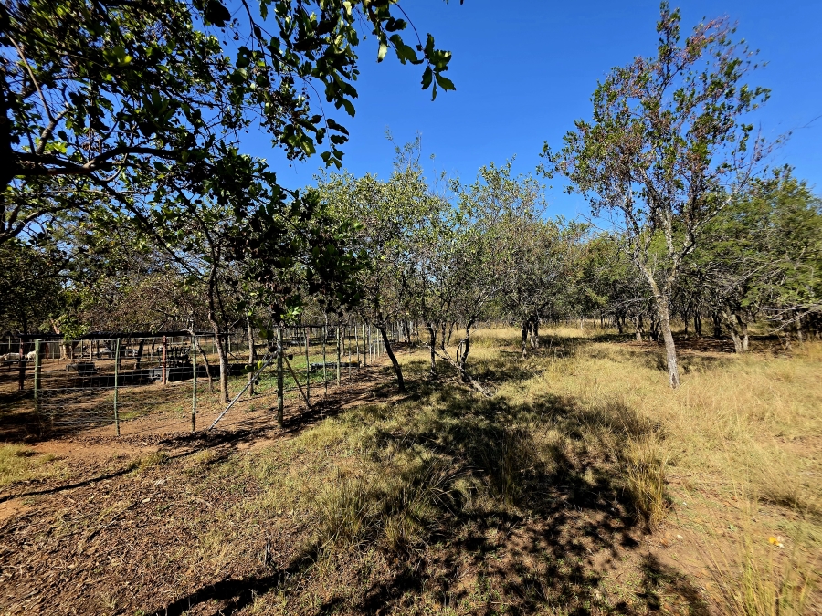 2 Bedroom Property for Sale in Mookgopong Limpopo