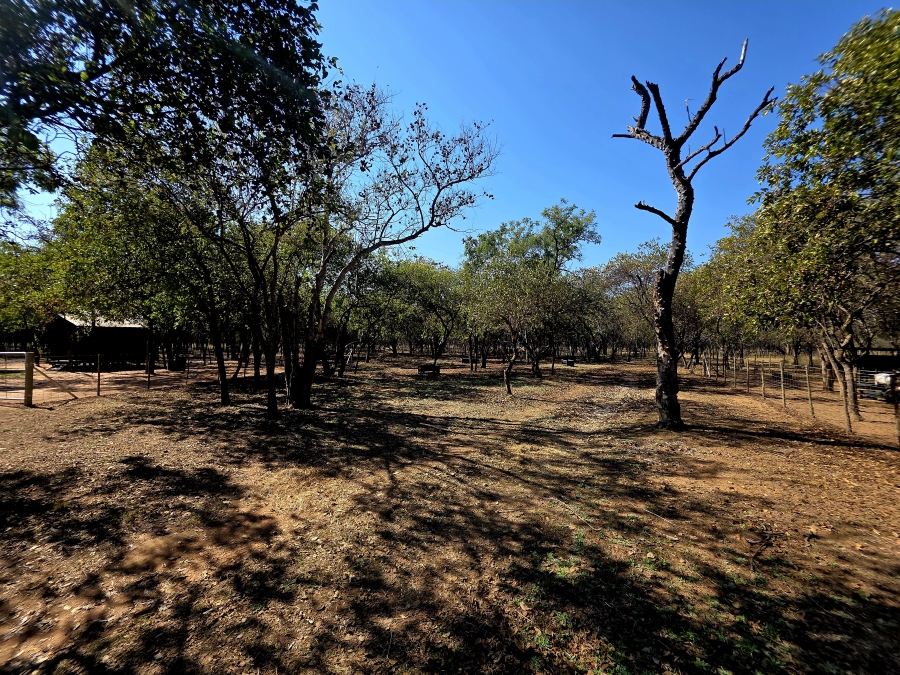 2 Bedroom Property for Sale in Mookgopong Limpopo