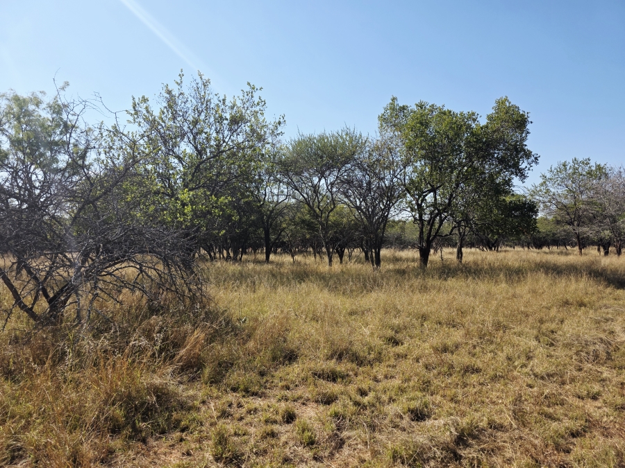 2 Bedroom Property for Sale in Mookgopong Limpopo