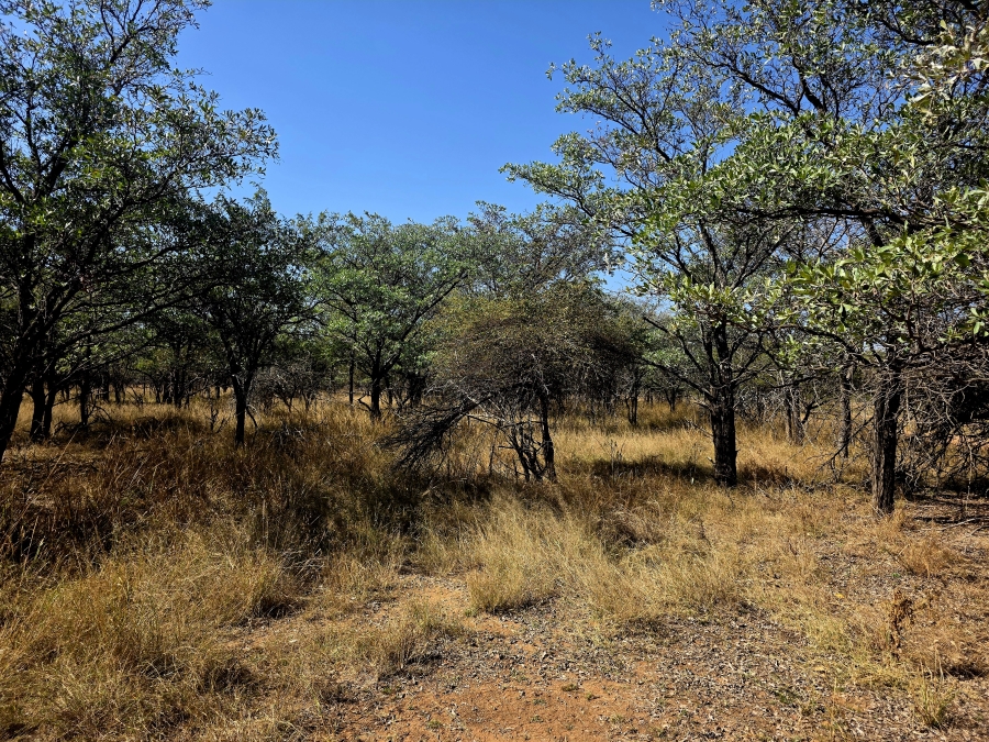 2 Bedroom Property for Sale in Mookgopong Limpopo