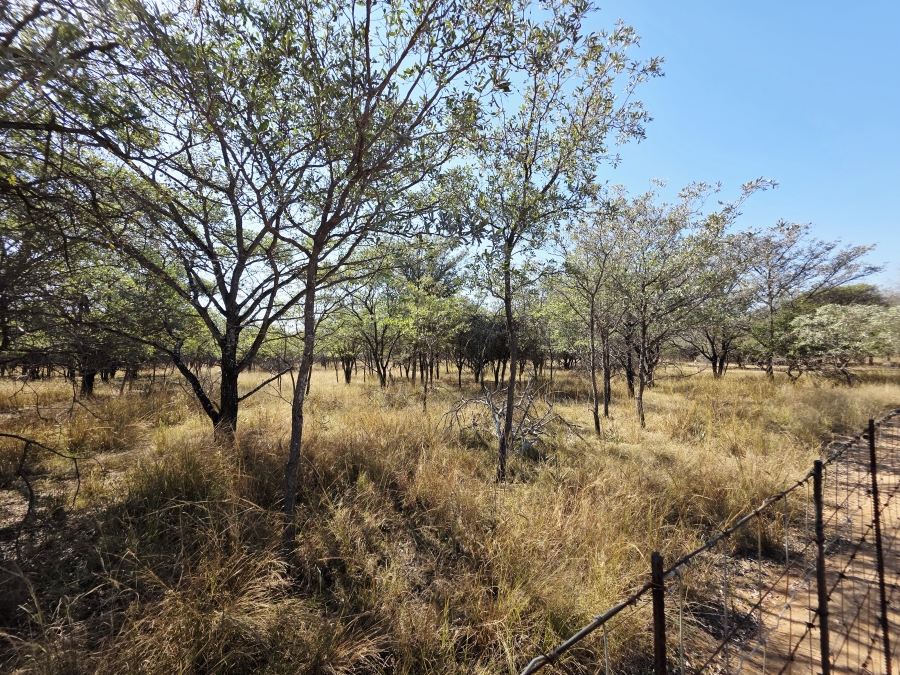 2 Bedroom Property for Sale in Mookgopong Limpopo