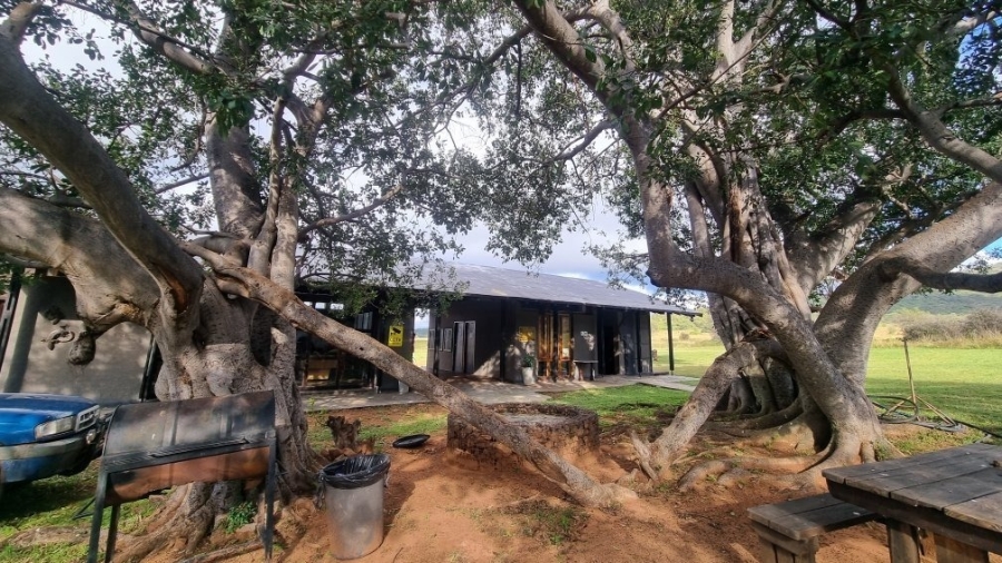 4 Bedroom Property for Sale in Modimolle Limpopo