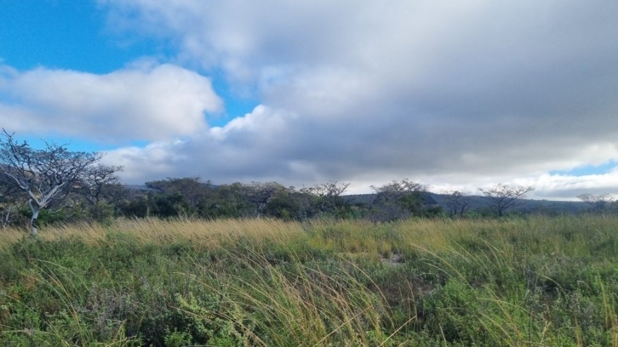 4 Bedroom Property for Sale in Modimolle Limpopo