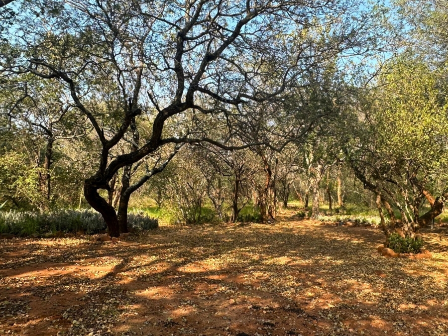 4 Bedroom Property for Sale in Canyon Game Reserve Limpopo