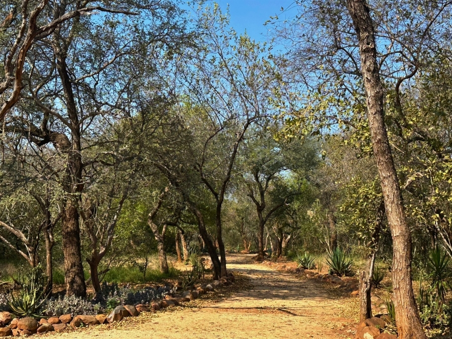 4 Bedroom Property for Sale in Canyon Game Reserve Limpopo