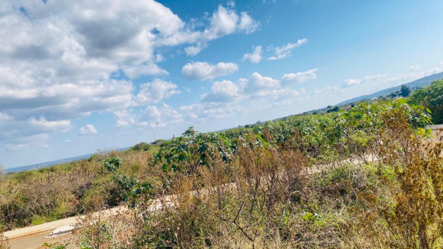 0 Bedroom Property for Sale in Louis Trichardt Limpopo