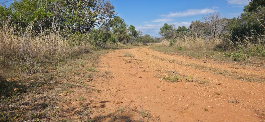 9 Bedroom Property for Sale in Bela Bela Limpopo