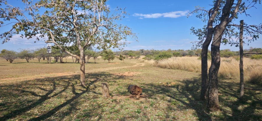 9 Bedroom Property for Sale in Bela Bela Limpopo