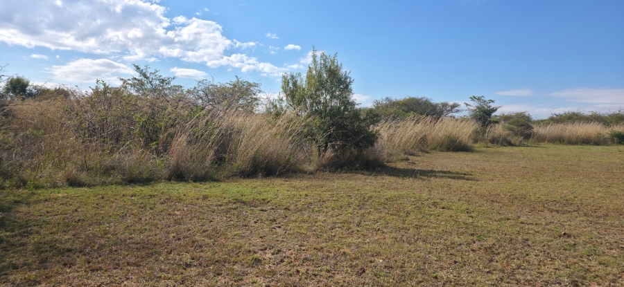 9 Bedroom Property for Sale in Bela Bela Limpopo