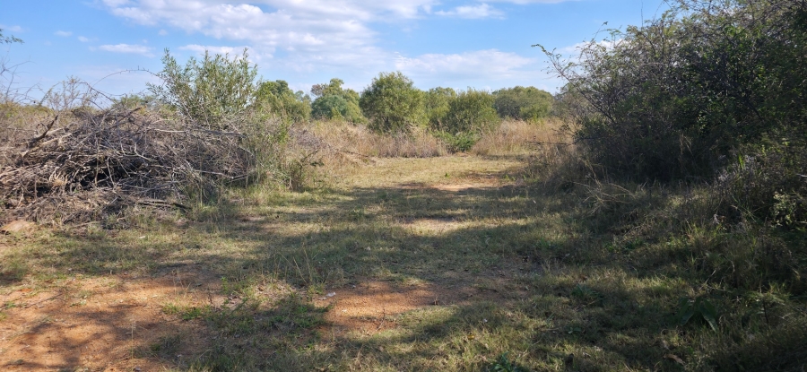 9 Bedroom Property for Sale in Bela Bela Limpopo
