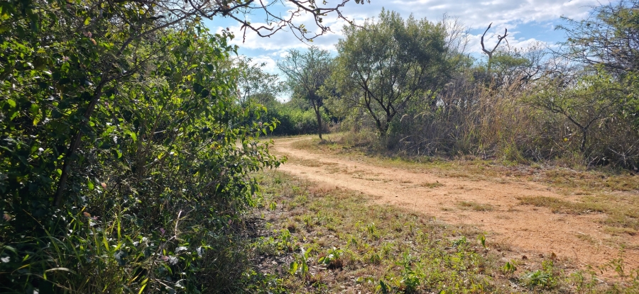 9 Bedroom Property for Sale in Bela Bela Limpopo