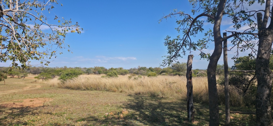 9 Bedroom Property for Sale in Bela Bela Limpopo