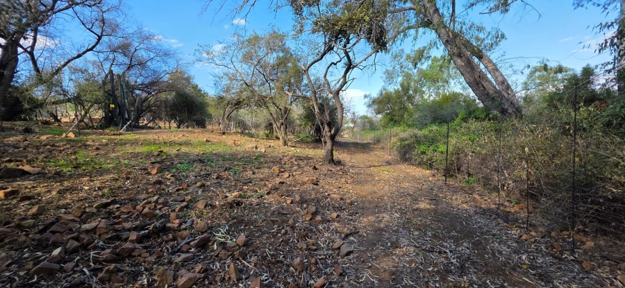 9 Bedroom Property for Sale in Bela Bela Limpopo