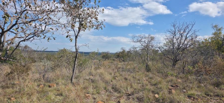 9 Bedroom Property for Sale in Bela Bela Limpopo
