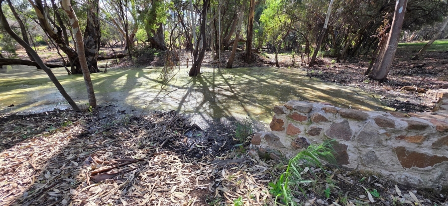 9 Bedroom Property for Sale in Bela Bela Limpopo