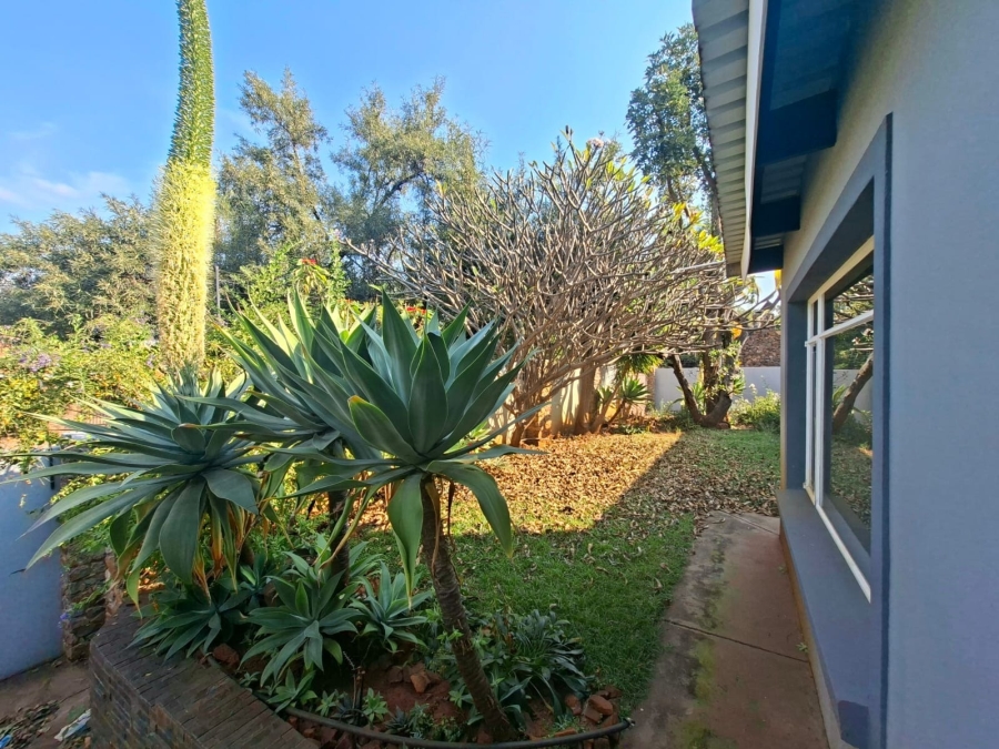 3 Bedroom Property for Sale in Bela Bela Limpopo