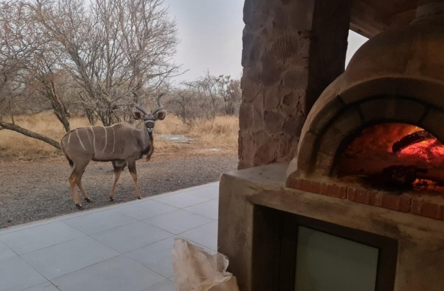 5 Bedroom Property for Sale in Bela Bela Limpopo