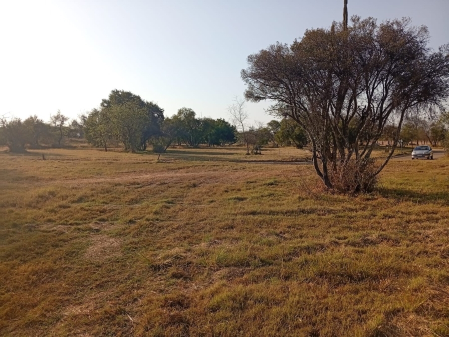 0 Bedroom Property for Sale in Bela Bela Limpopo