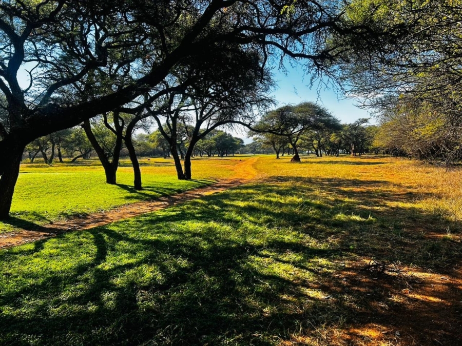 0 Bedroom Property for Sale in Chroompark Limpopo