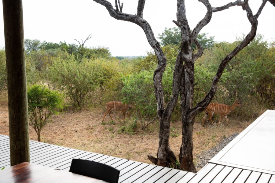 To Let 3 Bedroom Property for Rent in Raptors View Wildlife Estate Limpopo