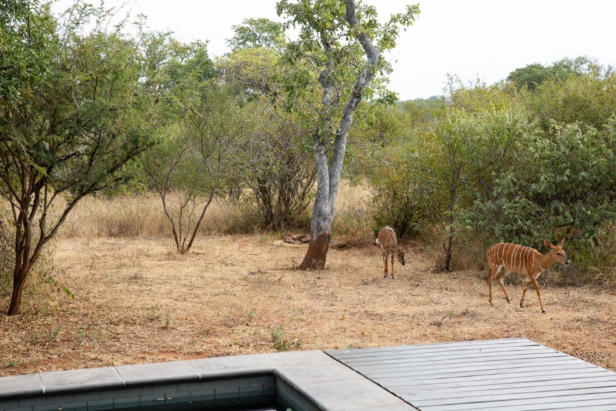 To Let 3 Bedroom Property for Rent in Raptors View Wildlife Estate Limpopo