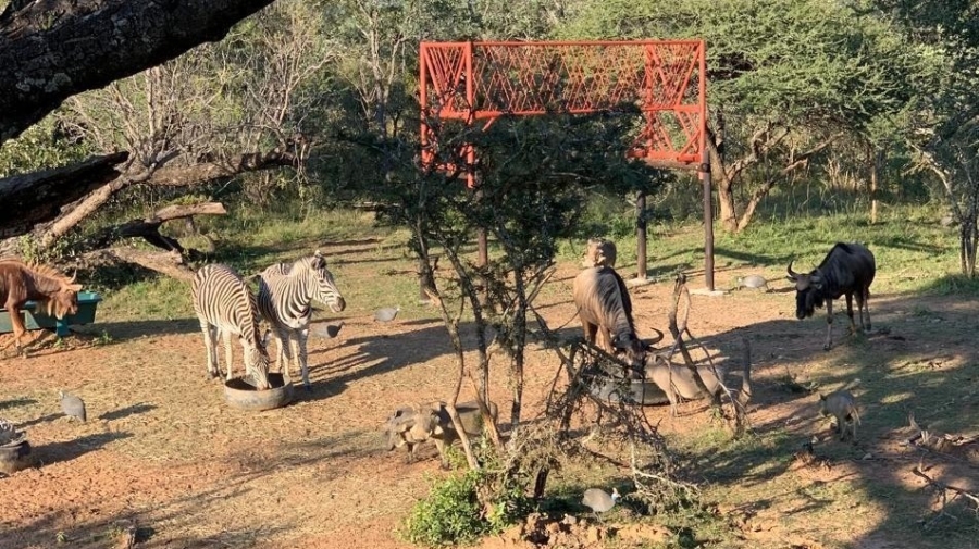 8 Bedroom Property for Sale in Intaba Indle Wilderness Estate Limpopo