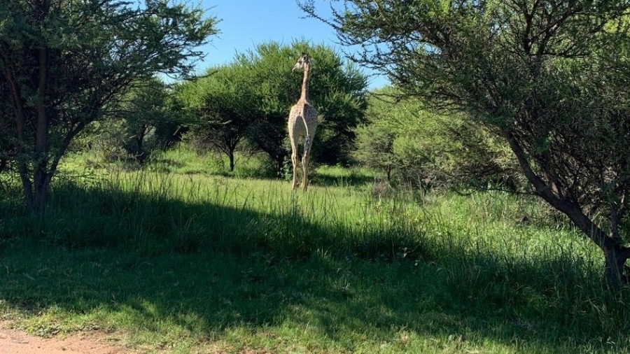 8 Bedroom Property for Sale in Intaba Indle Wilderness Estate Limpopo