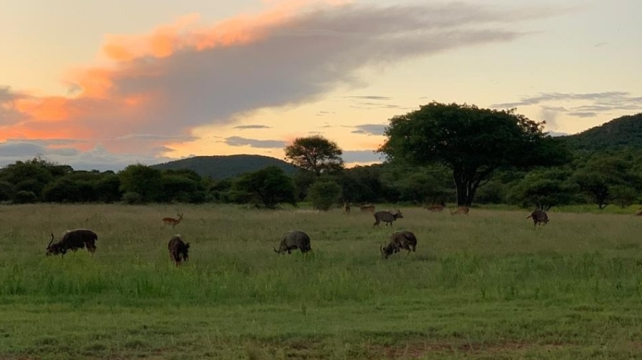 8 Bedroom Property for Sale in Intaba Indle Wilderness Estate Limpopo