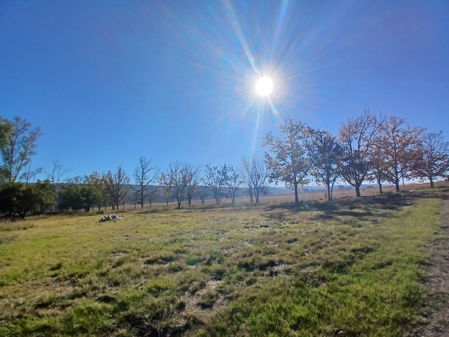 4 Bedroom Property for Sale in Modimolle Rural Limpopo
