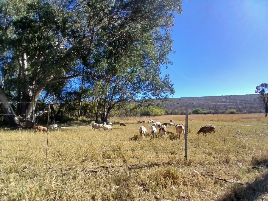 4 Bedroom Property for Sale in Modimolle Rural Limpopo