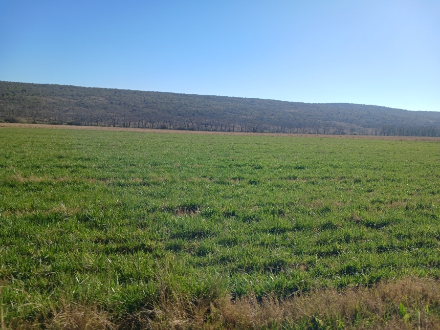 4 Bedroom Property for Sale in Modimolle Rural Limpopo
