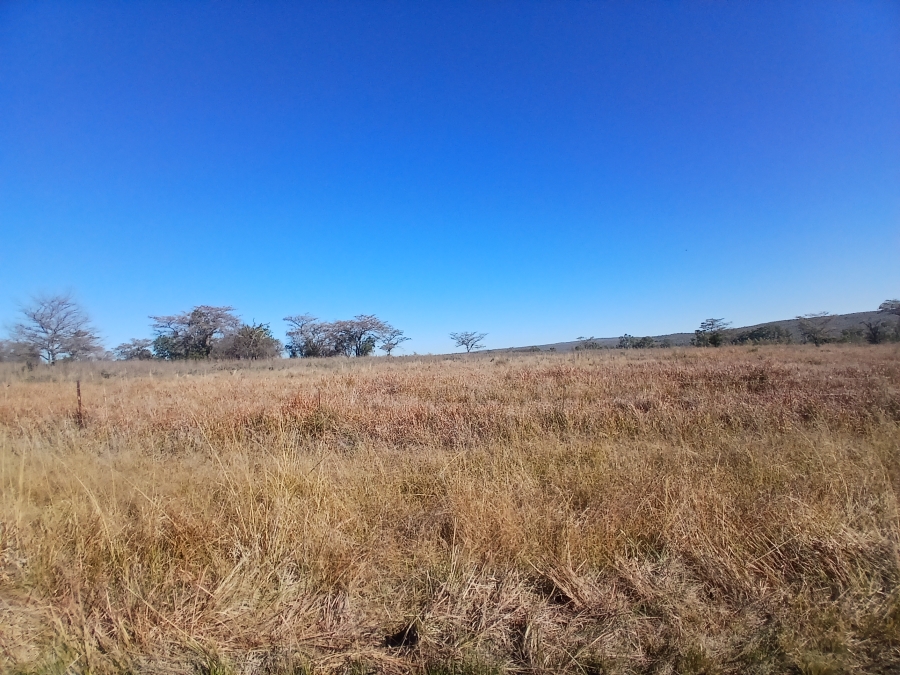 4 Bedroom Property for Sale in Modimolle Rural Limpopo