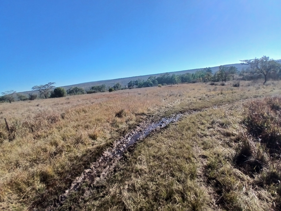 4 Bedroom Property for Sale in Modimolle Rural Limpopo