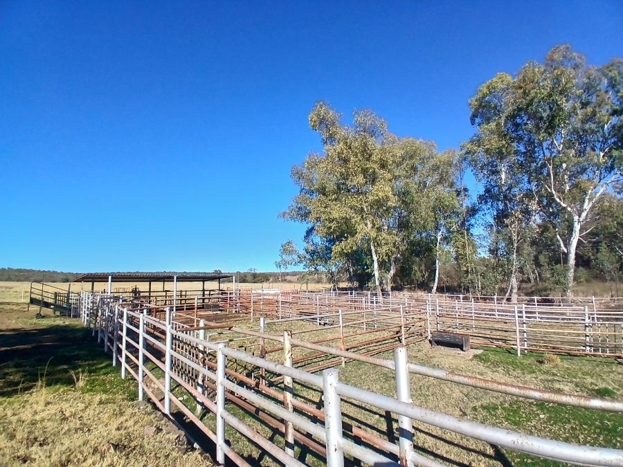 4 Bedroom Property for Sale in Modimolle Rural Limpopo