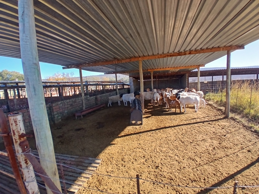 4 Bedroom Property for Sale in Modimolle Rural Limpopo