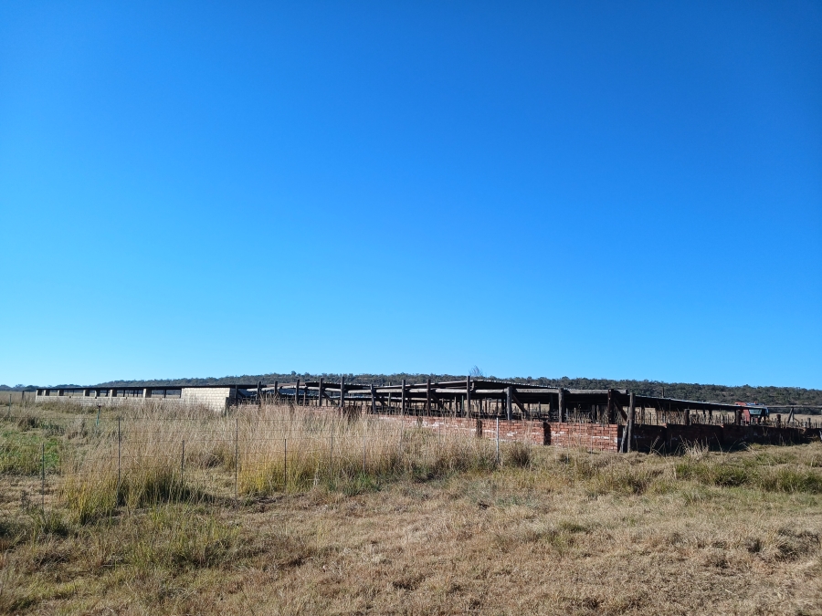 4 Bedroom Property for Sale in Modimolle Rural Limpopo
