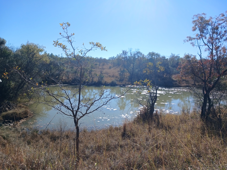 4 Bedroom Property for Sale in Modimolle Rural Limpopo